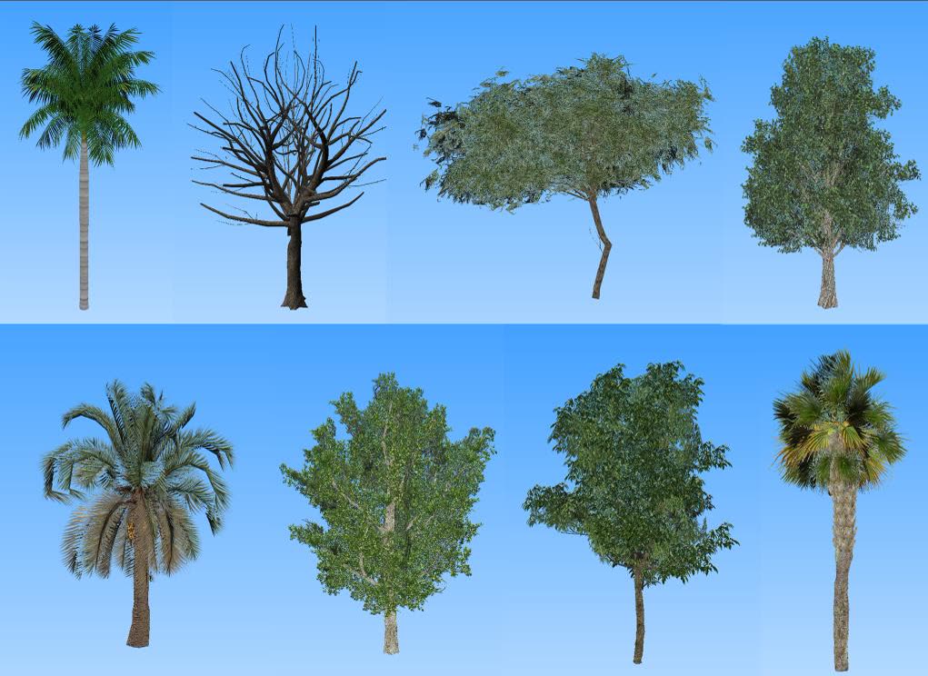 Vegetation — Middle East