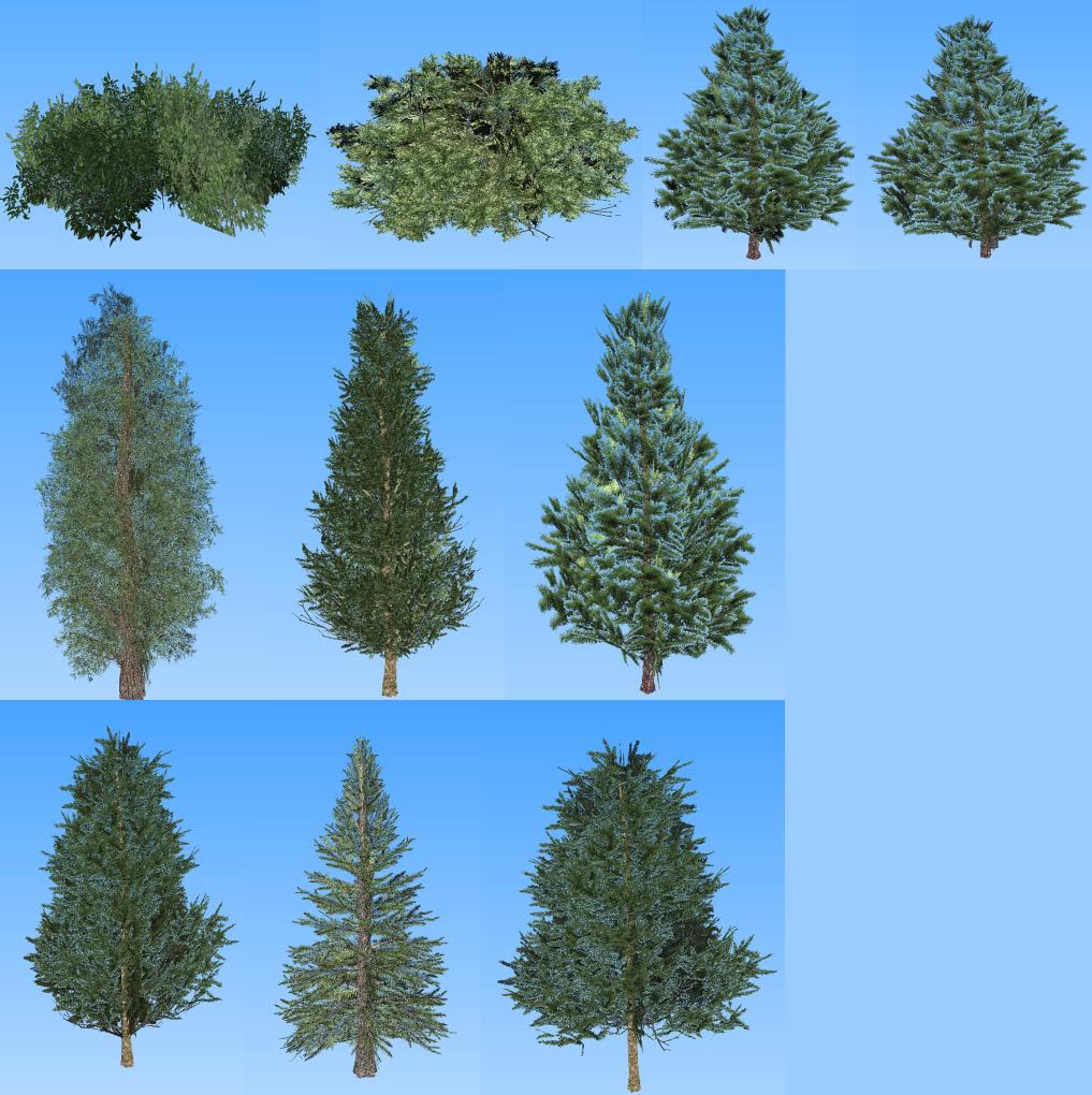 Vegetation — Europe